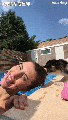 但熊猫小小的身体,像是突然爆发出了巨大的能量.