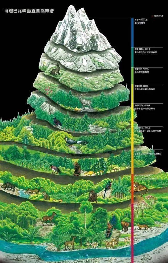 影响山地垂直自然带谱复杂程度的因素