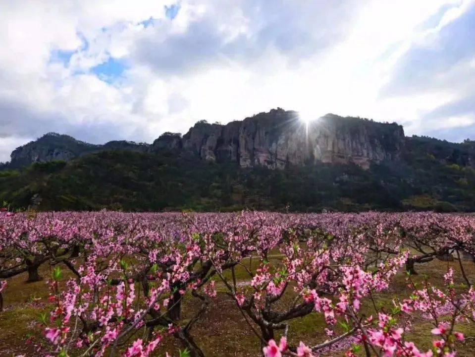 喜讯后岸村拟入选全国乡村旅游重点村