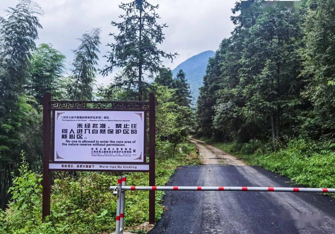 黄岗山为武夷山自然保护区的核心区 桐木关双泉寺,又称"桐木庙",建于