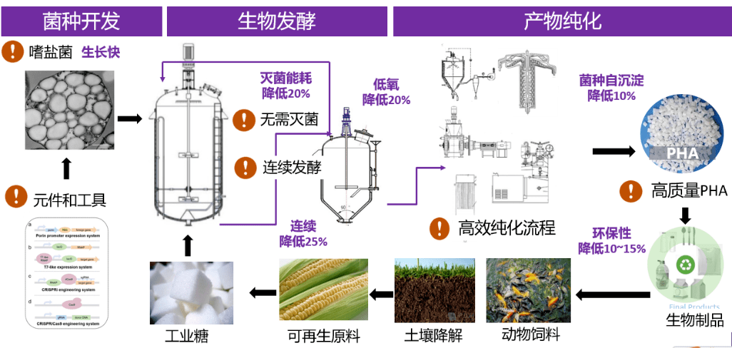 成立不足半年,天使轮融资即被红杉资本相中,这家生物降解材料公司凭啥