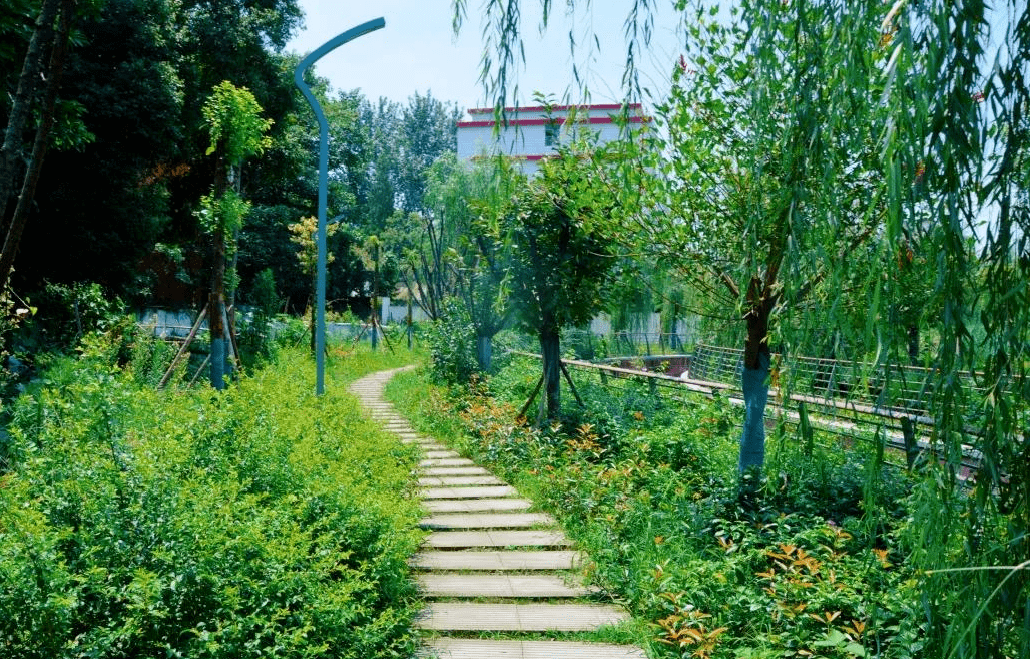 这个武侯市民都很关心的项目已完成73%,预计于年内全面建成