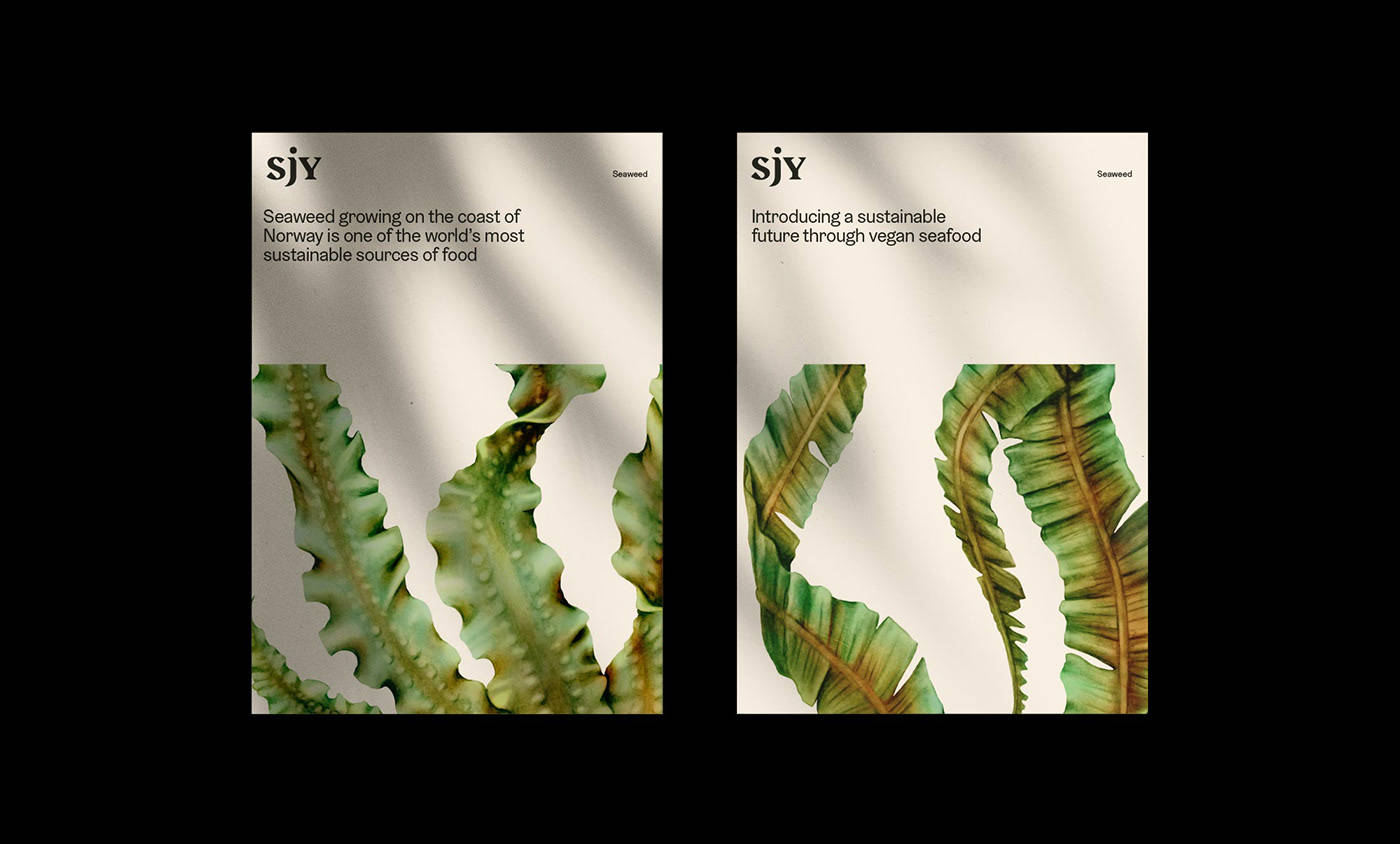 Seaweed|平面设计 | Sjy Seaweed 海藻素食品牌形象设计