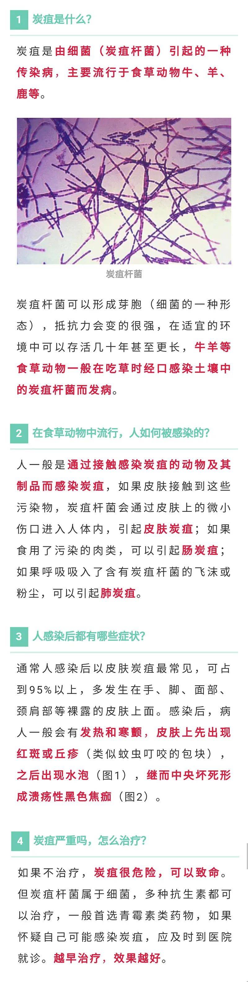 发现1例肺炭疽,牛羊肉还能吃吗?