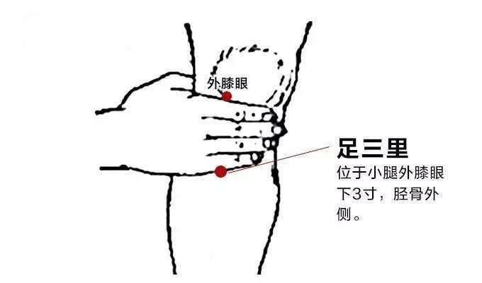 取穴:足三里穴位于外膝眼向下量4横指,在腓骨与胫骨之间,由胫骨旁量1