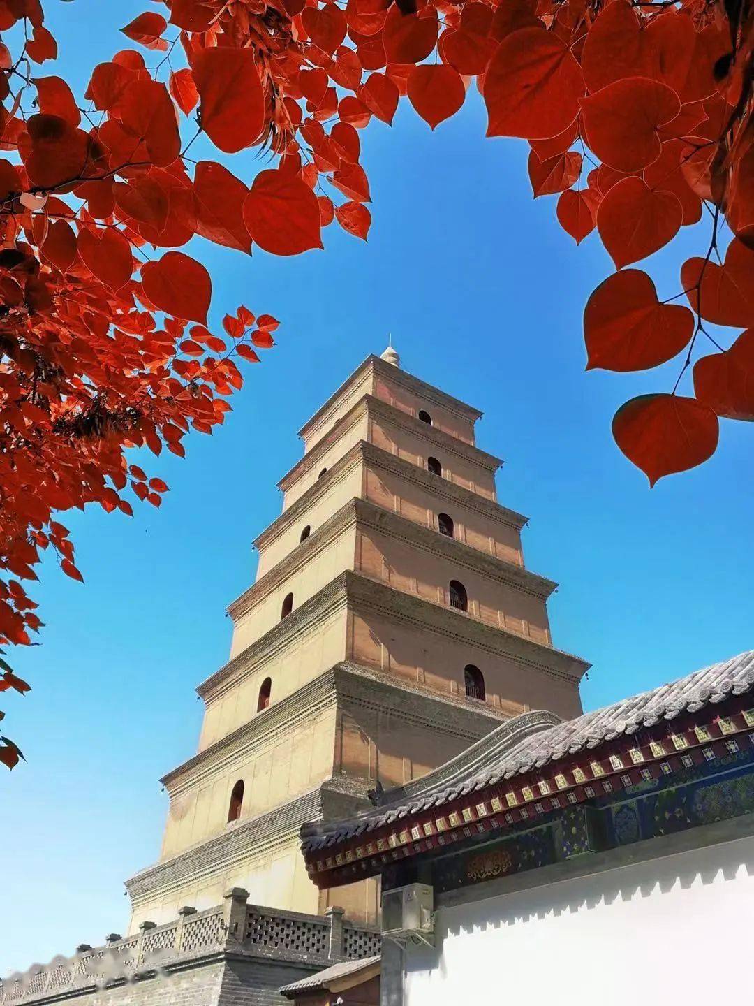 五色斑斓的西安秋景,静等您的归来