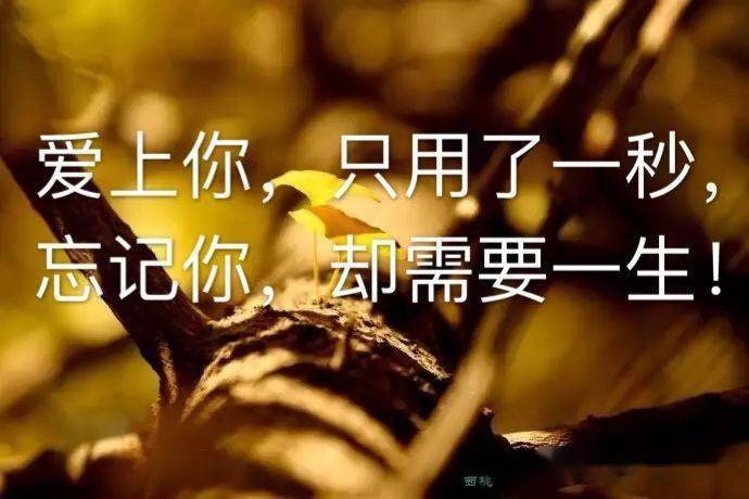 很累很窝心的心情说说,找句符合你心情的发朋友圈吧!