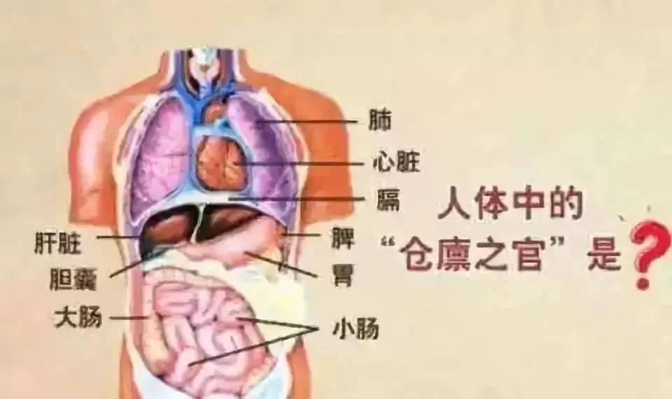 艾养身脾虚的害处可能比你想象的严重四季脾旺不受邪