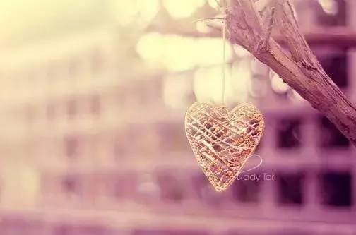 一颗心,为了谁?_壁纸