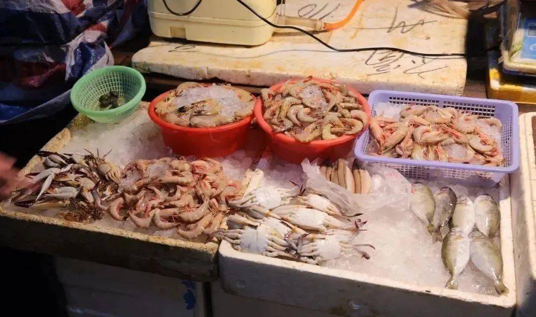 一大波海鲜要上线啦 想想都激动 厦门湾出海口开渔场景.