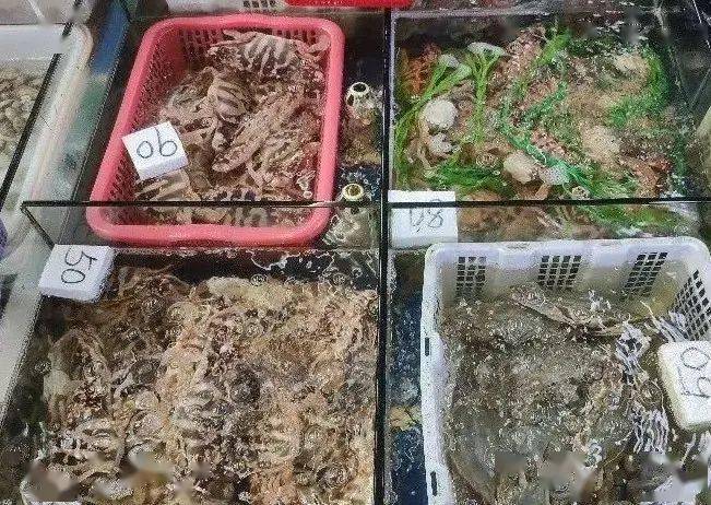 漳州港这家企业厉害了!漳州开发区一个接
