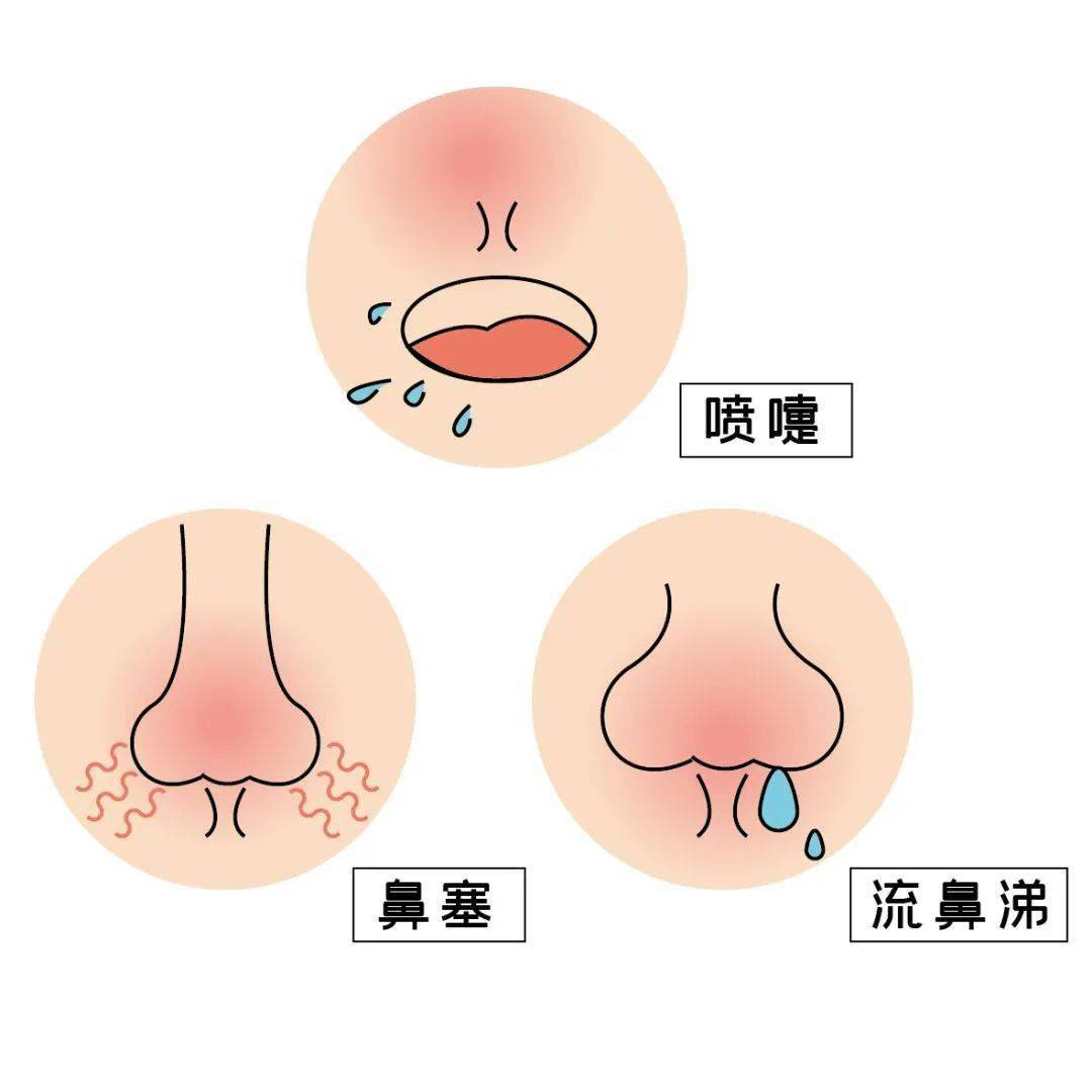 3,预防急性感染,传染性疾病. 4, 急性鼻炎,鼻窦炎发作时,遵医