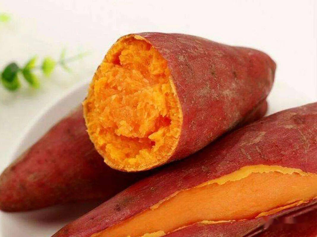 【食健康】秋天的红薯|吃对养人,吃错伤人!