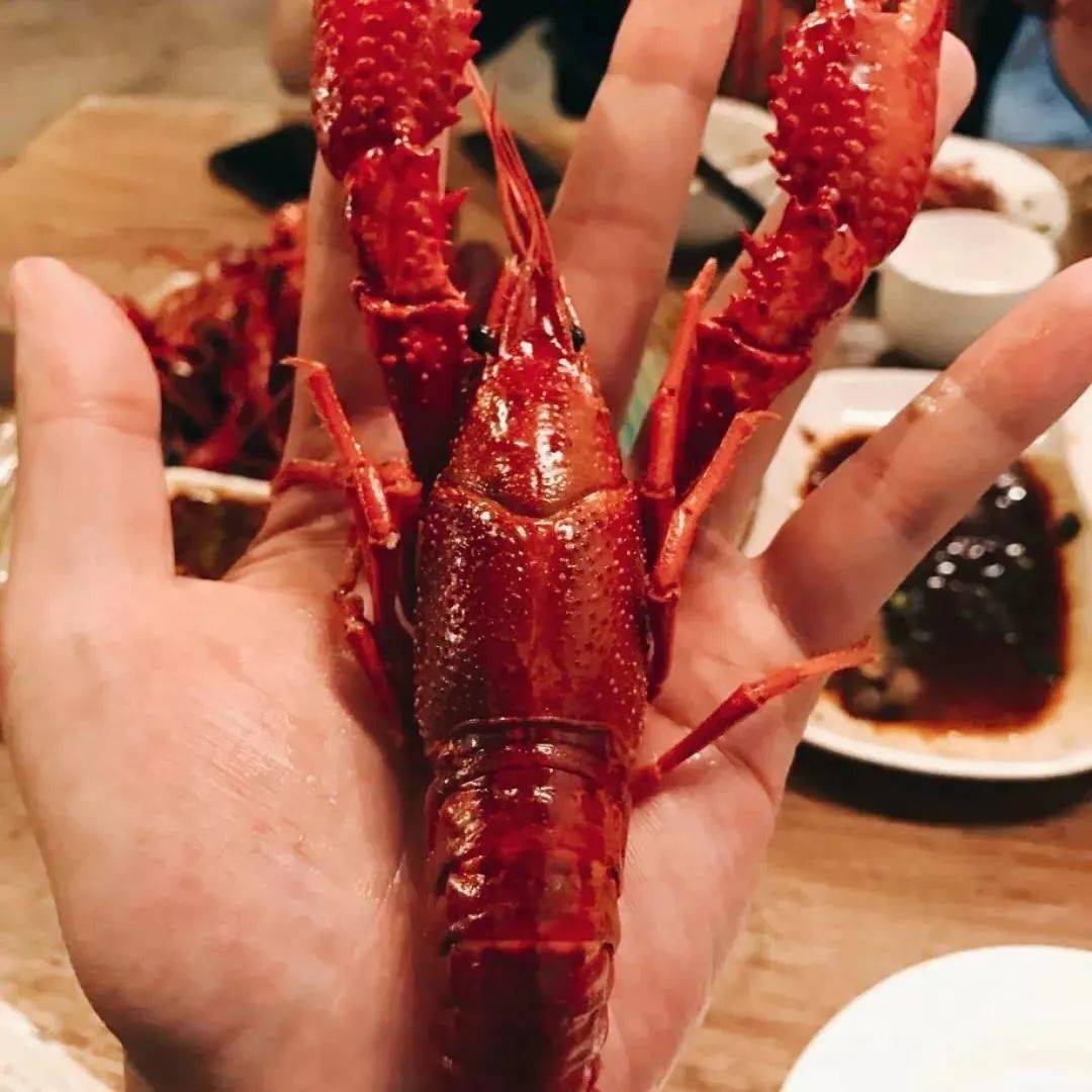 记住:"小龙虾"的英语可不是"small lobster"