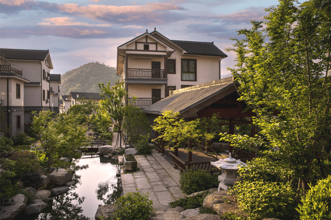 径山镇禅茶新村