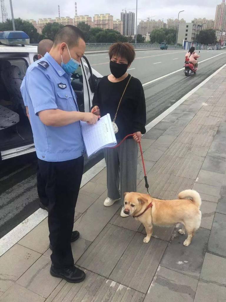 倡导文明养犬,辽源公安启动"日巡模式"