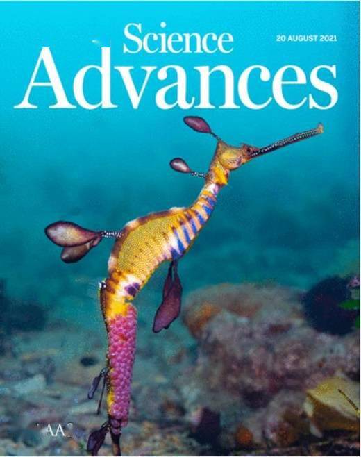 相关论文信息:seadragon genome analysis provides insights into