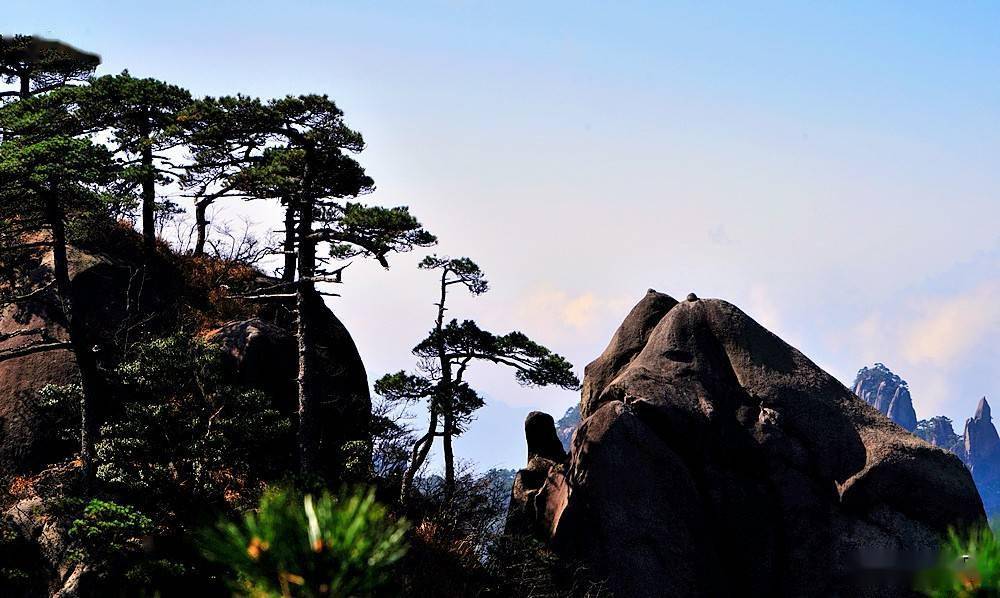 三清山风光挺拔秀丽的奇峰怪石