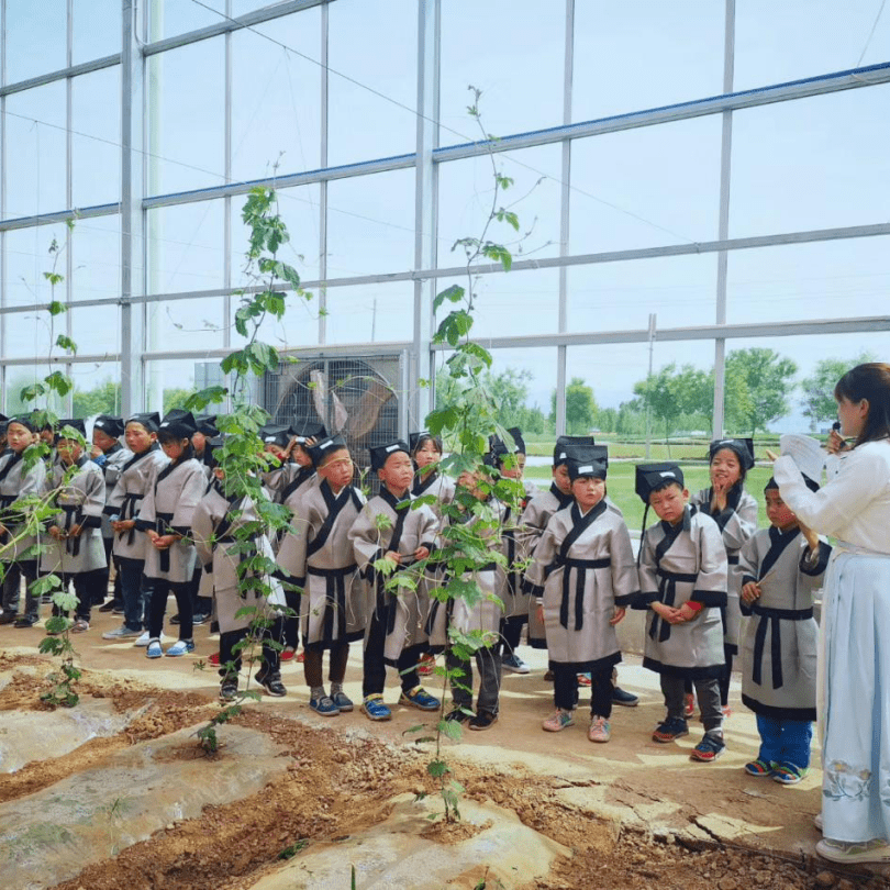 研学基地简介陕西石鼓现代农业园位于宝鸡市渭滨区宝光路,是葡萄树下