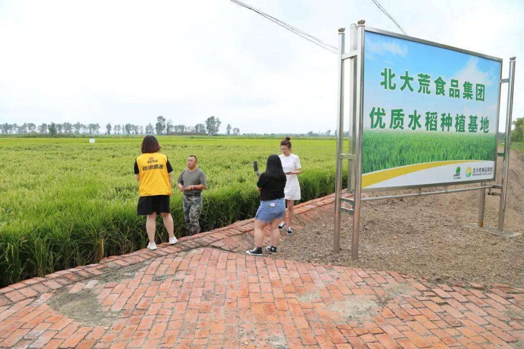 探秘北大荒优质水稻种植基地0202新浪直播团队走进泰来农场