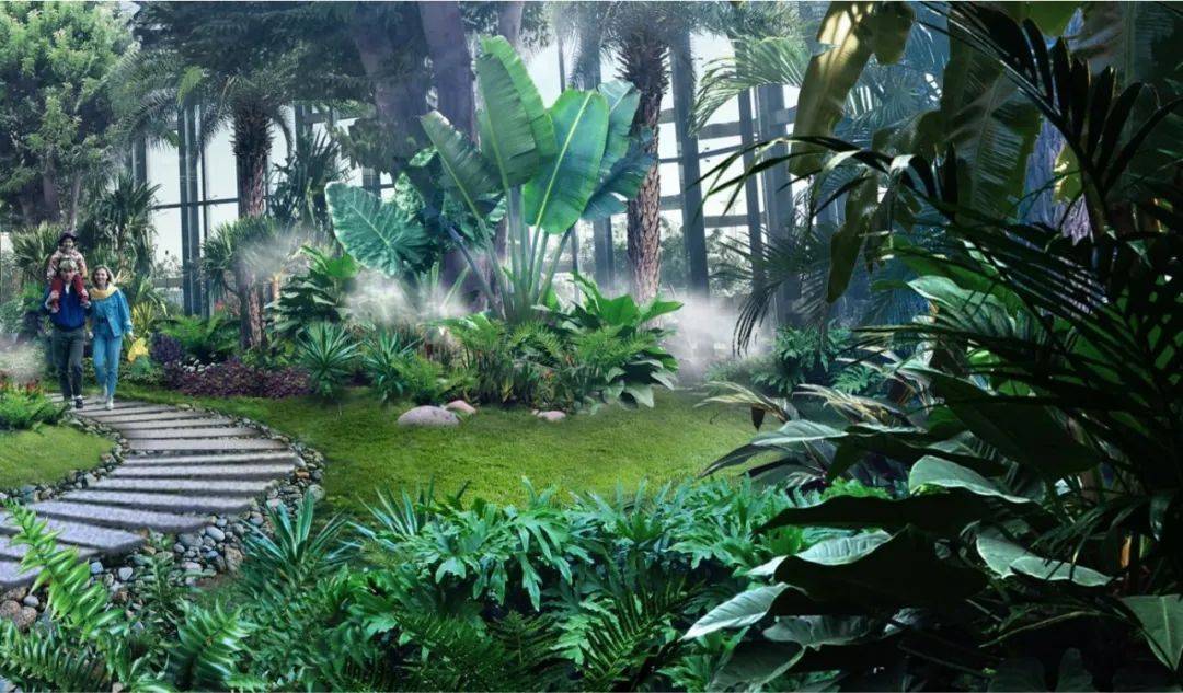 厦门市中心,将新增一处"热带雨林"!