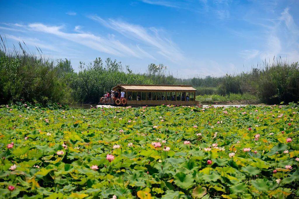 限时六折 | 洪泽湖湿地水上度假村全新的度假体验!