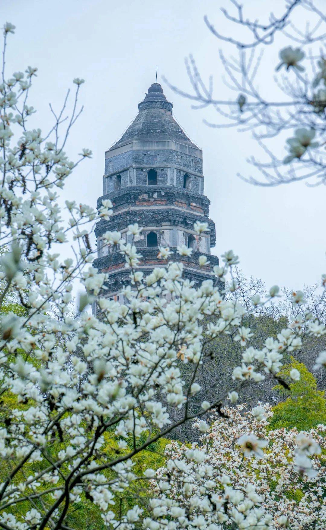 运河十景 | 斜而不倒,屹立千年,走进吴中第一名胜