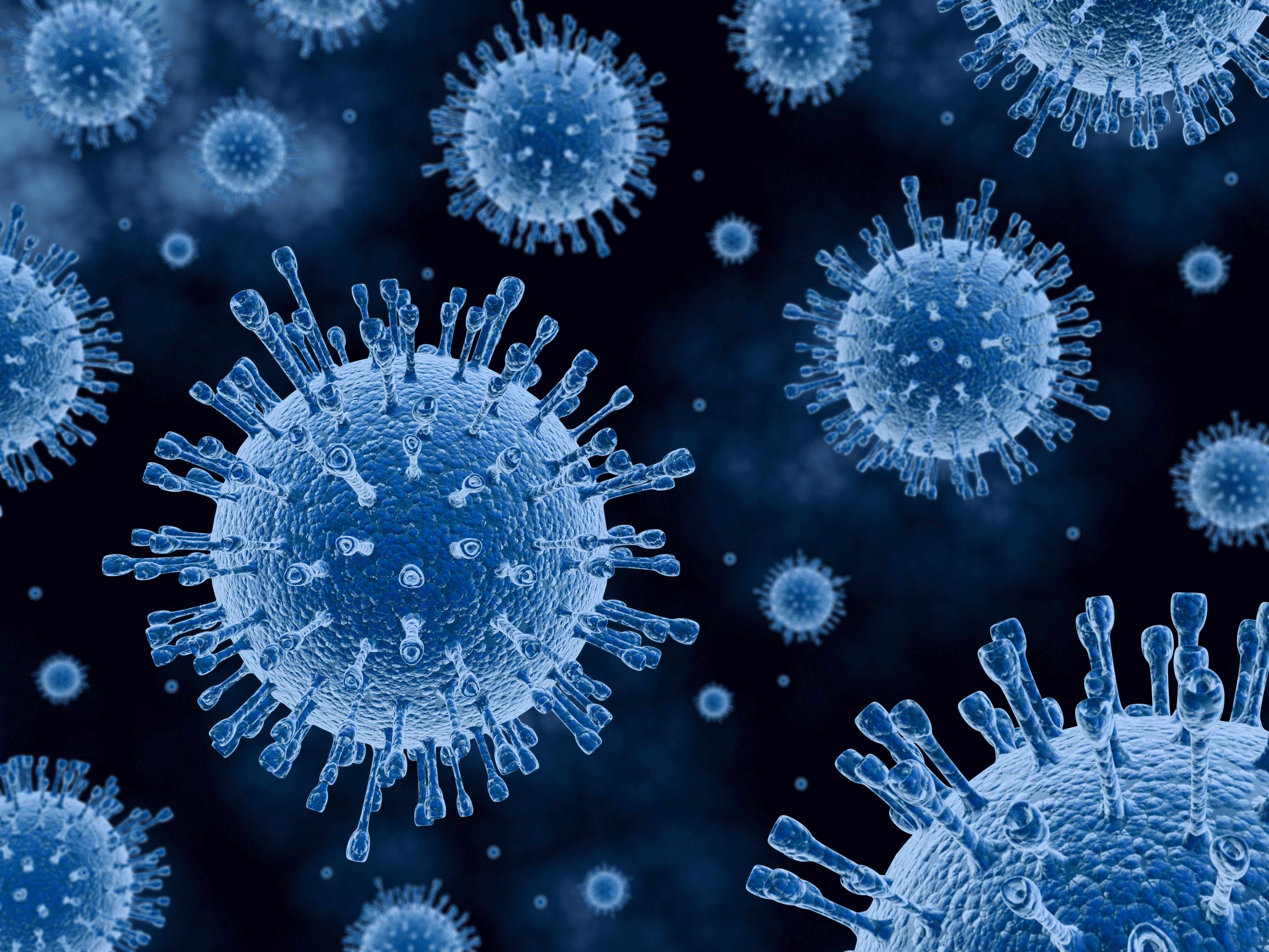 新抗体可抵御多种新冠病毒变种