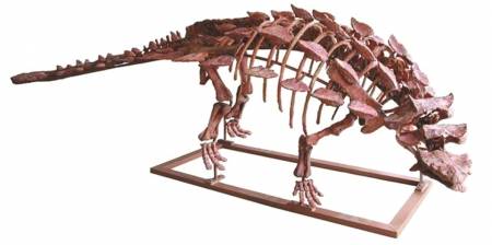 复原远古骨骼化石他们在大运河边修恐龙