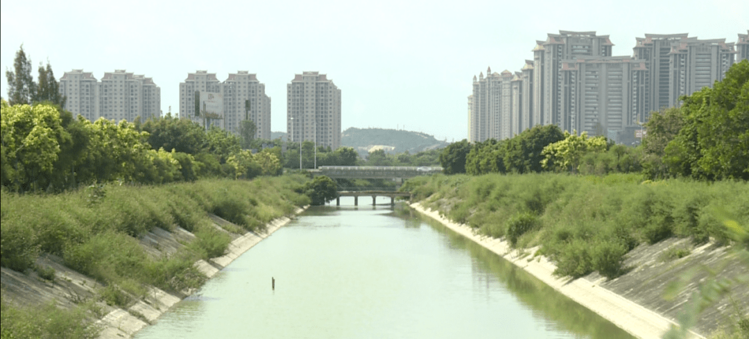 【百日清河】东园镇率先完成区域内河道整治