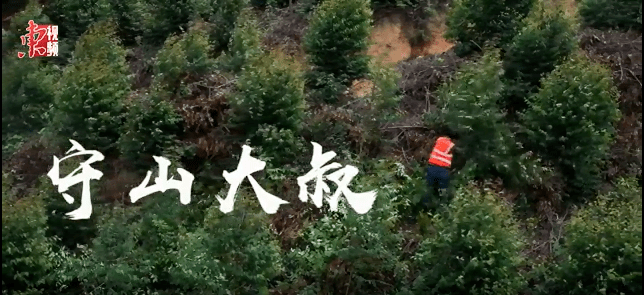 东莞日报社《守山大叔》