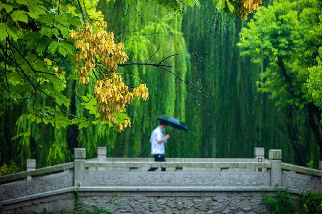 运河风情游 半城烟雨始入画,我们一起听听初秋古城台儿庄雨里的声音