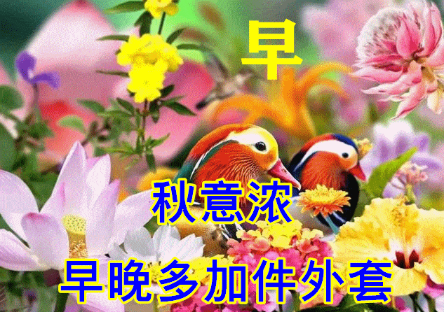 8月31日早上好动态表情图片大全,早晨好动图美图大全