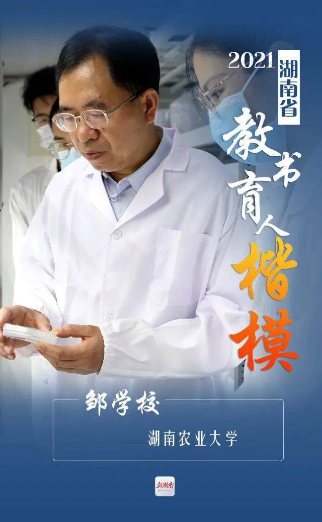 衡阳人快来点赞他们是今年湖南省教书育人楷模