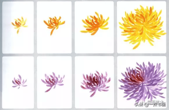 没骨水墨菊花画法