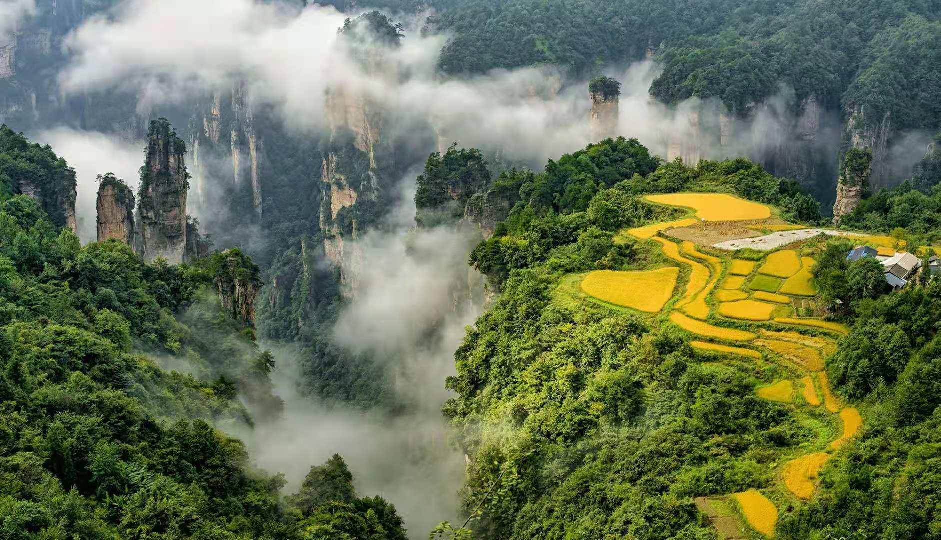 疫情消退张家界旅游业将再度迎来春天(供图:张旅集团)