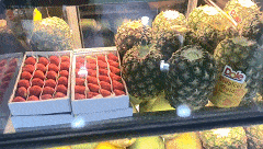 后厨 发现了几只