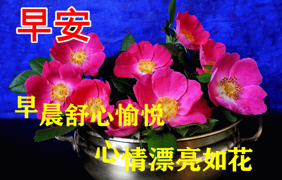 9月3日最漂亮早上好动态表情图片大全,早上好动图美图