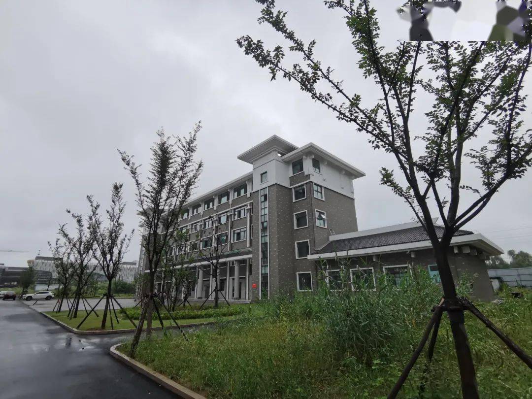 步入官湖高级中学,绿意葱茏的校园大道,崭新的二期教学楼拔地而起