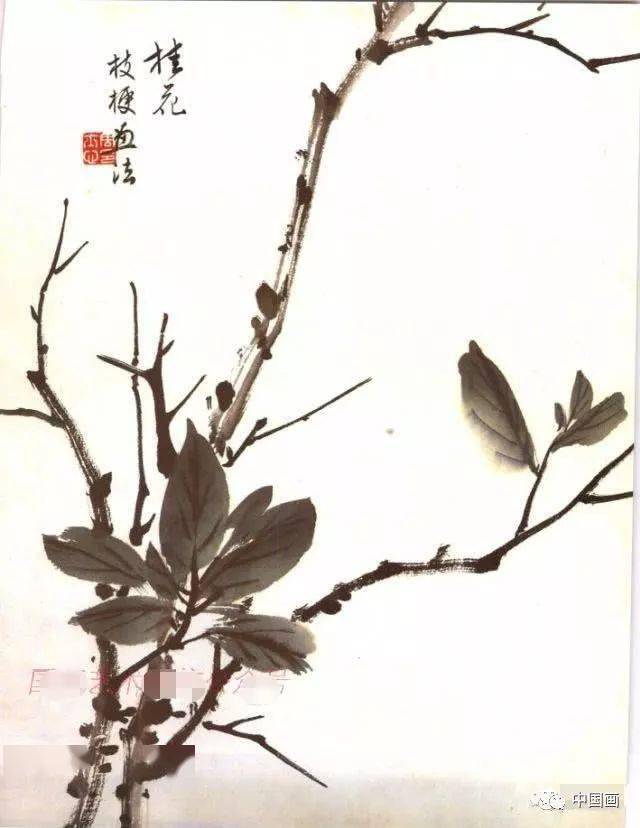 国画水墨桂花的绘画技法