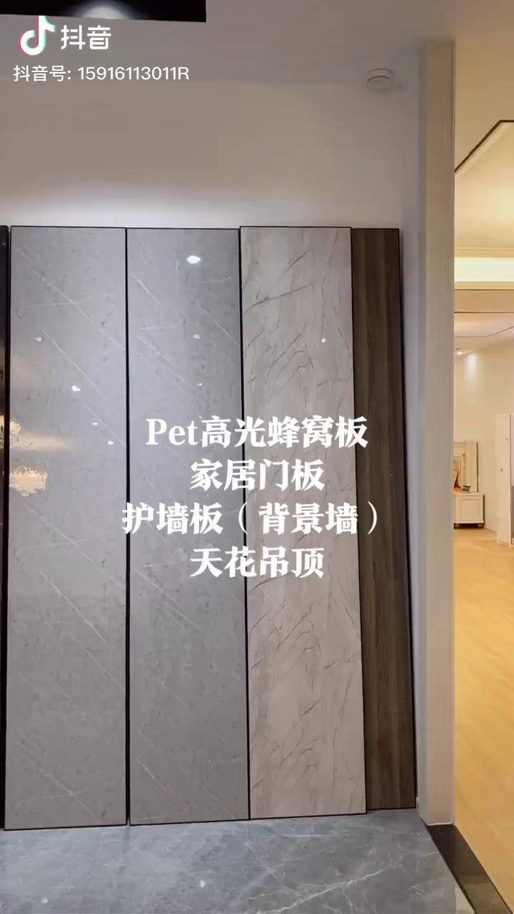 pet高光蜂窝板做护墙板背景墙家居门板天花吊顶适用光滑耐磨耐刮仿