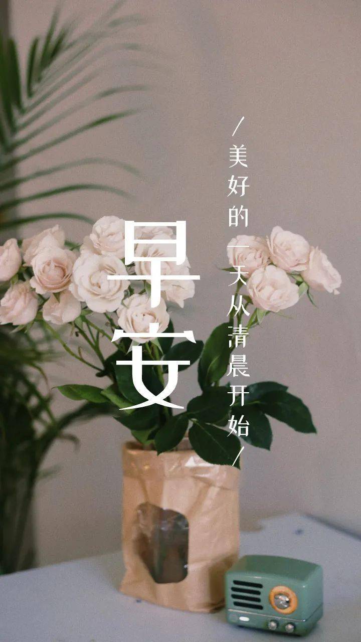 周二早安晚安心语正能量阳光语录