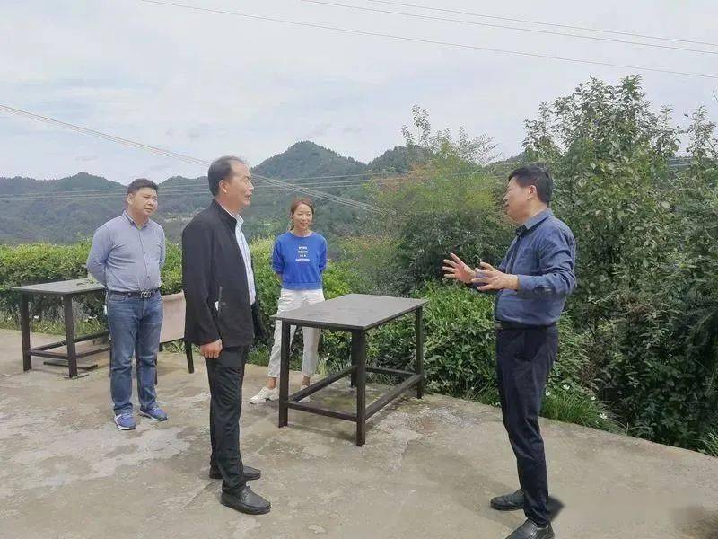 9月8日,市农业农村局党组成员,副局长汪成安到平利县老县镇蒋家坪村