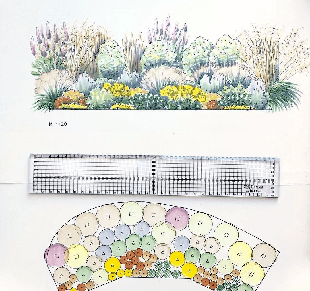 景观手绘|别墅花园景观植物设计