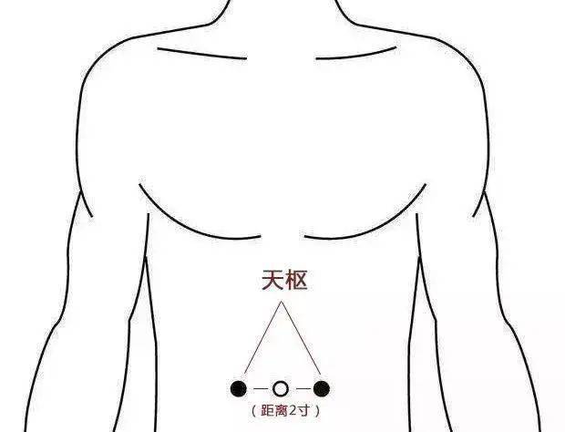 天枢关元为小肠募穴,是任脉与足太阴脾经,足少阴肾经,足厥阴肝经的