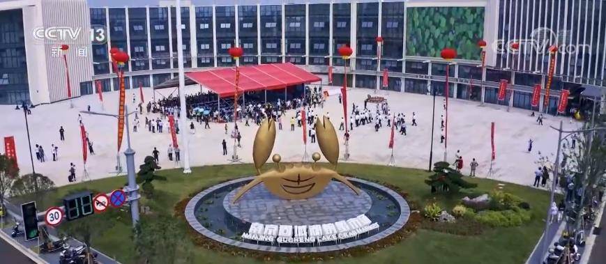【乡村振兴之星】南京高淳：发挥资源优势 大批农民通过养殖螃蟹走上富裕路