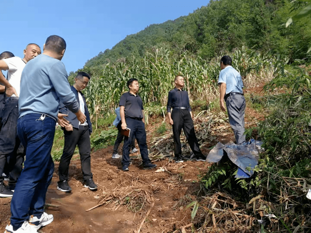 镇巴县政协迅速投入灾后重建工作