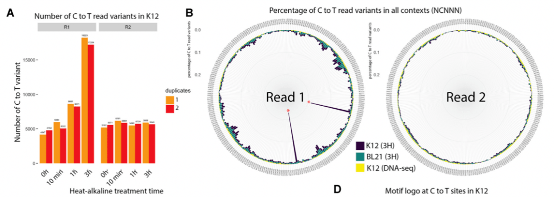 nucleic acids res | 甲基化酶特异性快速鉴定新方法rims-seq,可同时