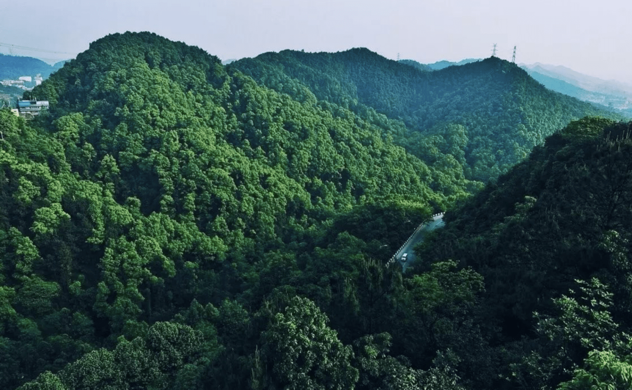 十年时间,鹿角宜居大城正在崛起_巴南