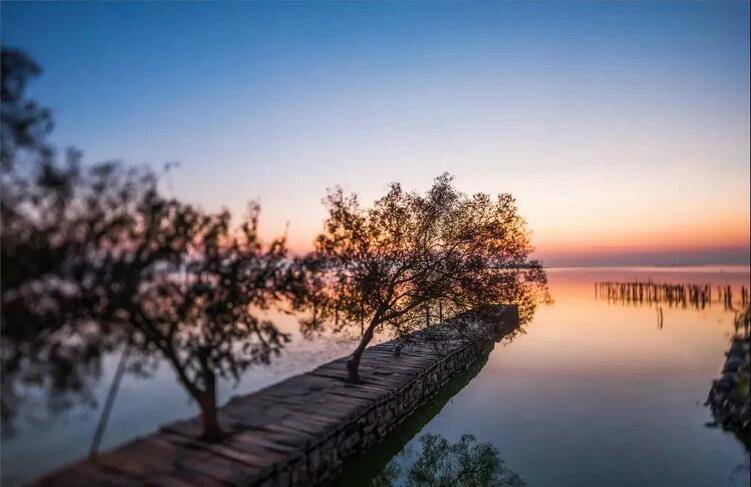 日光|秋意浓 赏太湖秋日图鉴